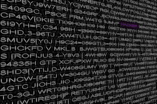 开云官方网-德甲球队利用大数据分析优化进攻转换效率，德甲球队利用大数据分析优化进攻转换效率的方法